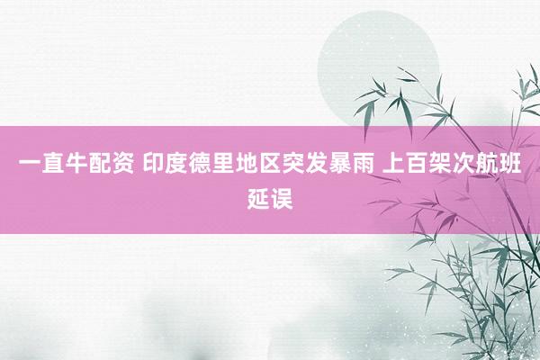 一直牛配资 印度德里地区突发暴雨 上百架次航班延误