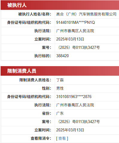 顺策略 高合汽车创始人丁磊再被限消，涉案总金额超1700万元