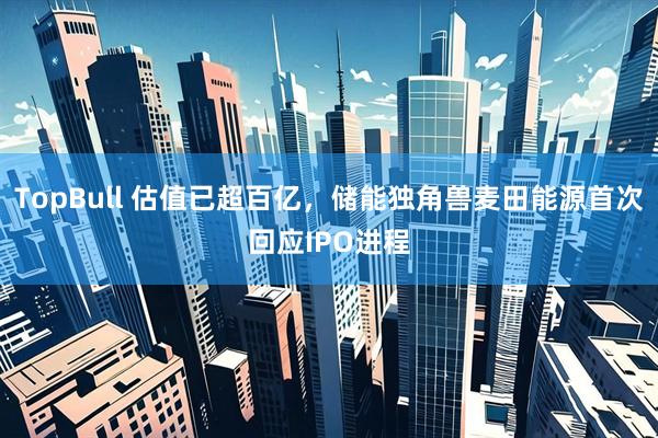 TopBull 估值已超百亿，储能独角兽麦田能源首次回应IPO进程