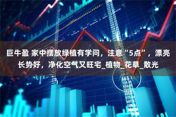 巨牛盈 家中摆放绿植有学问，注意“5点”，漂亮长势好，净化空气又旺宅_植物_花草_散光