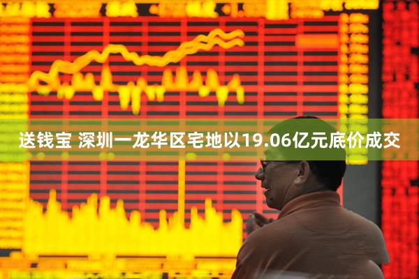 送钱宝 深圳一龙华区宅地以19.06亿元底价成交