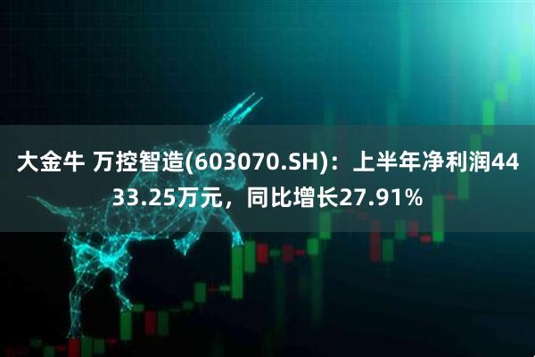 大金牛 万控智造(603070.SH)：上半年净利润4433.25万元，同比增长27.91%