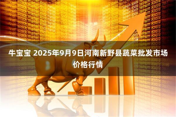 牛宝宝 2025年9月9日河南新野县蔬菜批发市场价格行情